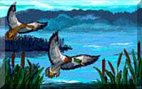 Gli uccelli del cielo e i pesci del mare, che percorrono le vie del mare.