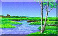 Sar come albero piantato lungo corsi d'acqua