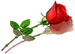 Una_rosa_per_mamma_Giuseppina